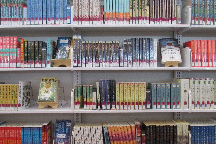 photo of shelves with library book club collection